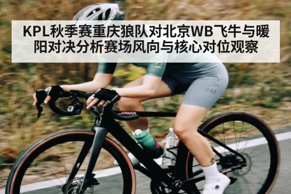 KPL秋季赛重庆狼队对北京WB飞牛与暖阳对决分析赛场风向与核心对位观察