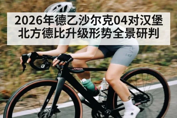 2026年德乙沙尔克04对汉堡北方德比升级形势全景研判